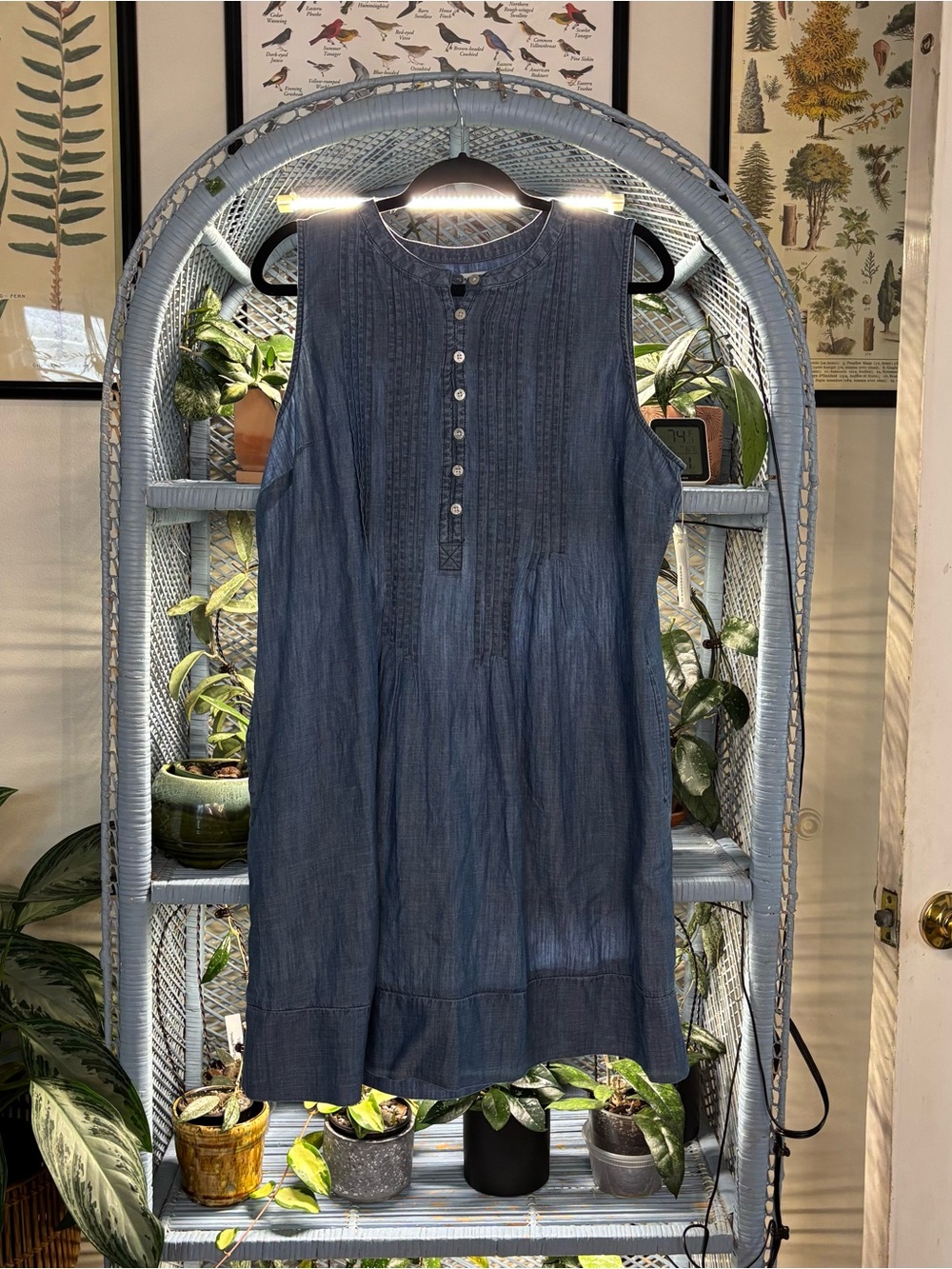 Sleeveless Chambray Button-Front Dress in Denim Blue